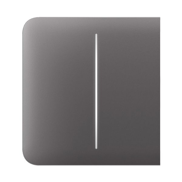 Ajax SideButton (2-gang) grey
