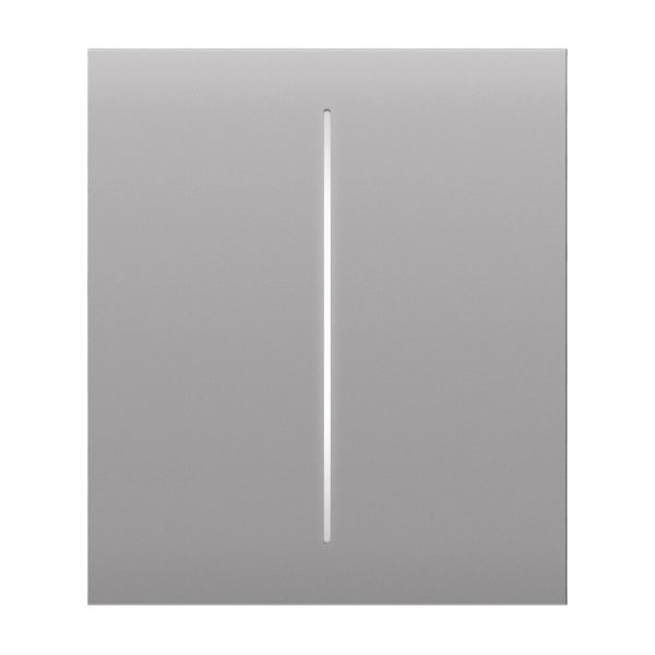 Ajax CenterButton (2-gang) fog