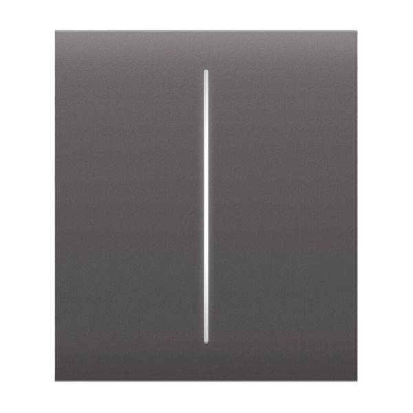 Ajax CenterButton (2-gang) grey