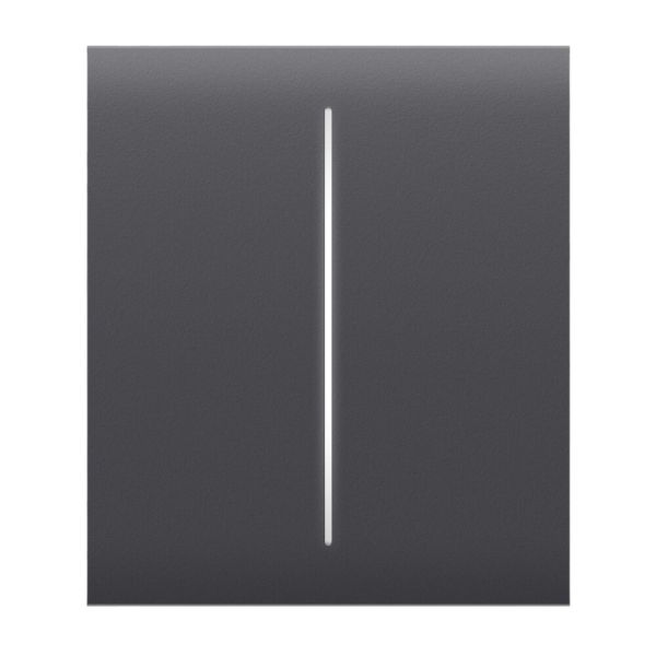 Ajax CenterButton (2-gang) graphite