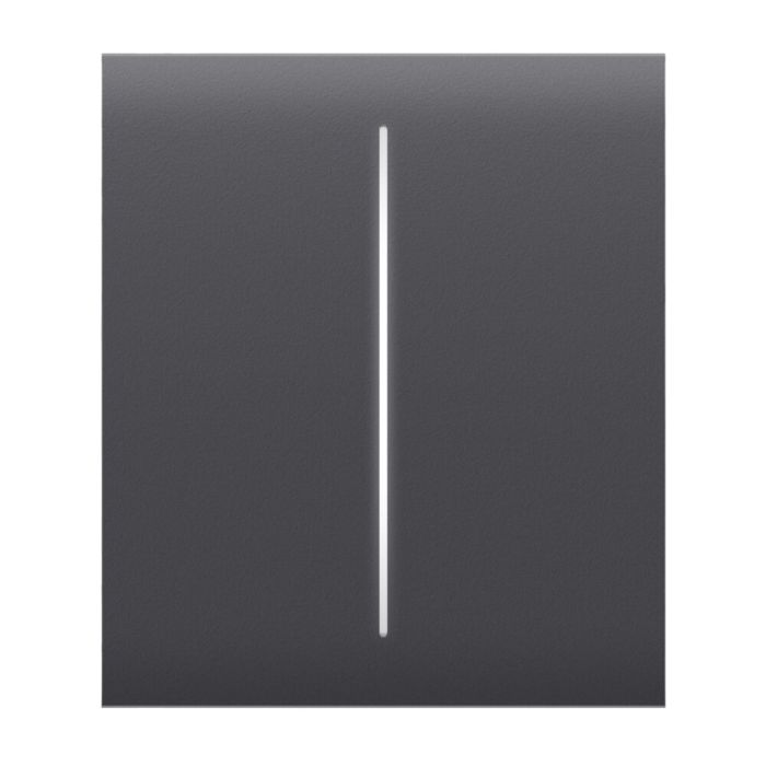 Ajax CenterButton (2-gang) graphite