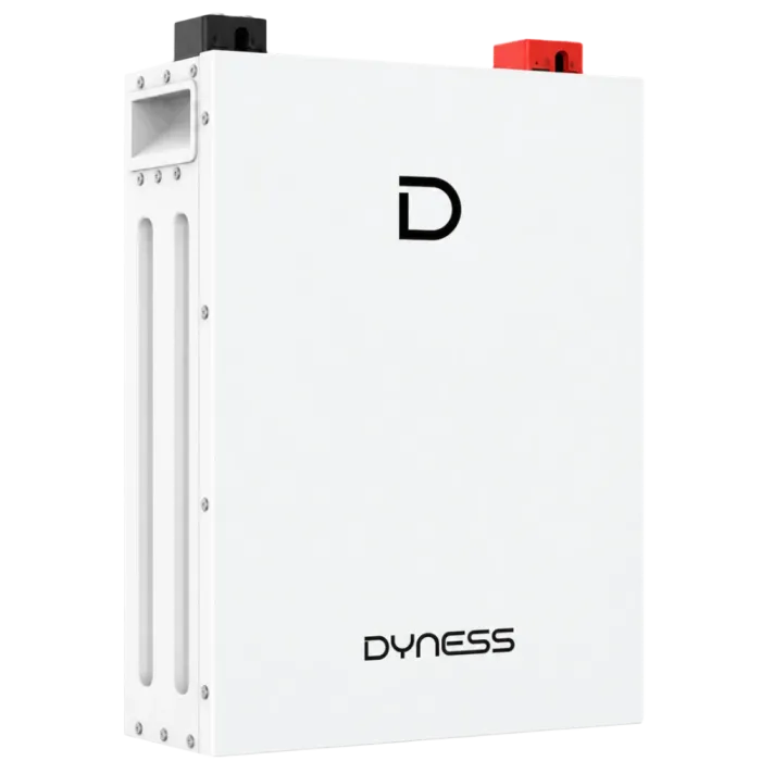 Літієва акумуляторна батарея Dyness DL5.0F 51.2V 100AH