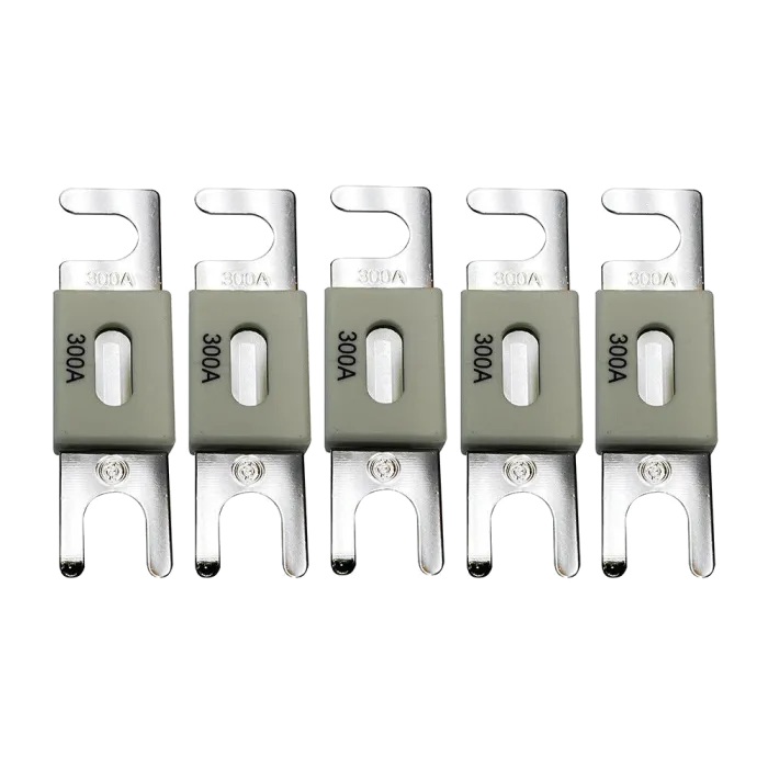 Запобіжник Victron Energy ANL-fuse 300A/80V (5 pc)