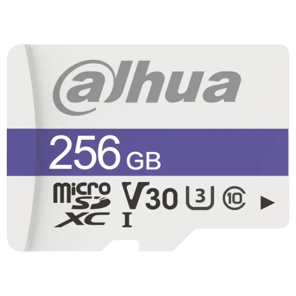 Dahua DHI-TF-C100/256GB