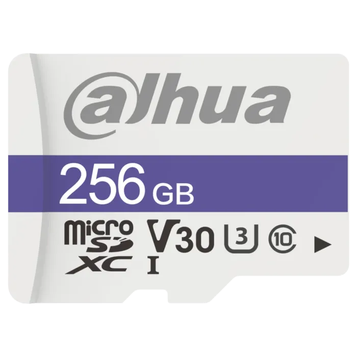 Dahua DHI-TF-C100/256GB
